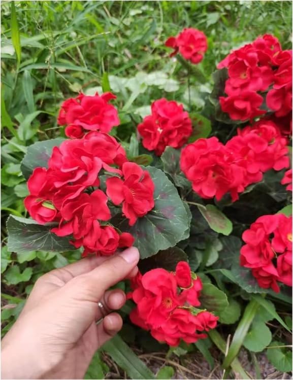 4 piezas de flores artificiales de geranio rojo, arbusto de geranio sintético de 14.2 pulgadas de largo, plantas de flores de seda falsa para