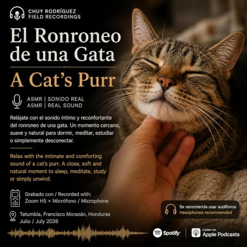 ASMR - Ronroneo de Gato | Cat Purring