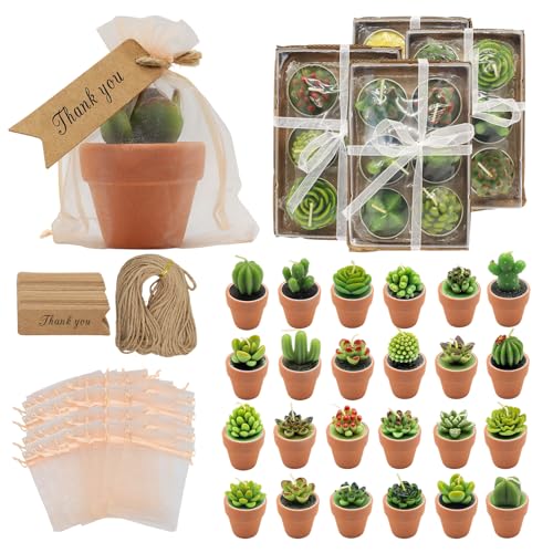 24 Pcs Succulent Candles Party Favors Mini Tealight Candles for Wedding