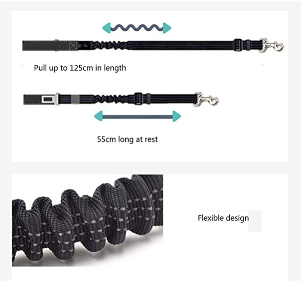 Laisse Extensible pour Chien avec Boucle de Ceinture de sécurité pour Voiture et Voiture