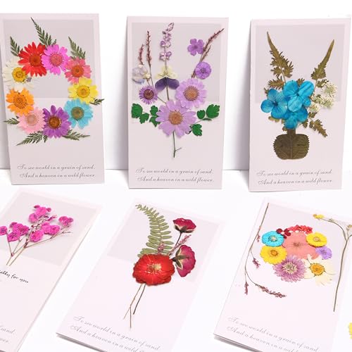 Set de flores secas naturales 140 piezas para manualidades miniatura 3