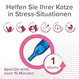 Beaphar CatComfort® Wohlfühl Spot-On, 3 x 0,55ml