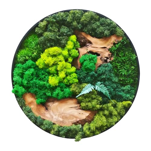 vadmepiop Moss Wall Art Natural Moss and Wood Handcrafted Rustic Charm Modern Nature Wall Hanging for Living Room & Office Office Restaurant Bar & Cafe No Maintenance (11.81in Round)