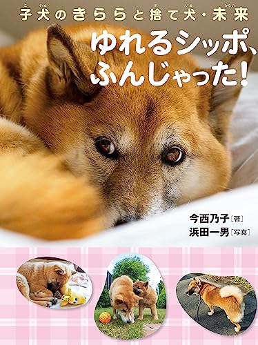 子犬のきららと捨て犬・未来 ゆれるシッポ、ふんじゃった！ 捨て犬・未来＆きららものがたりのサムネイル