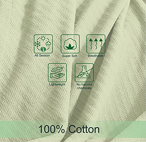 Cotton Craft Soft Cotton Thermal Blanket - Plush Herringbone Twill - All Season Luxurious Breathable Skin Friendly Lightweight Cooling Throw Blanket - Sofa Couch Travel Camping Dorm - Full-Queen Natural #TOP5