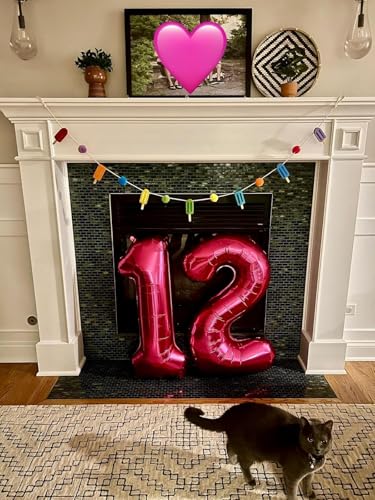 Image of 1 Balloon Numbers Birthday Decorations, 40In Rose Purple Balloons for Party | Eye-catching Appearance, Perfect Decorative Centerpieces, Convenient Self-sealing Structure, Widely for Various Occasions