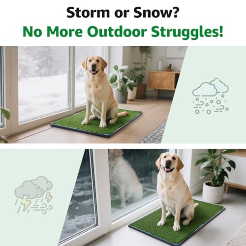 Dog Grass Pad with Tray,35.5” x 23.6” Indoor Dog Potty System 2 Pics Replacement Artificial Grass Mats-5 Pics Disposable Puppy Pads,for Puppy Training Apartment,Balcony and Apartment Use - Image 4