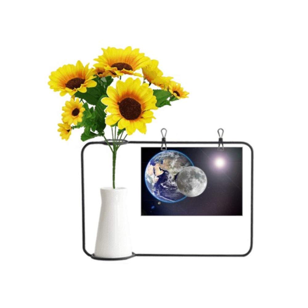 Tournesol artificiel blanc Blue Earth White Planet fleur artificielle décorative avec carte cadeau