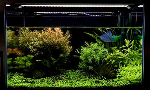 Image of Finnex Stingray Aquarium Led Light 2.0, Plant Growing 660nm Red LEDs, 48 Inch