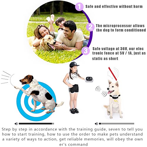 image for PetPi Wireless Dog Fence Containment System, 500M Radius Remote Contro