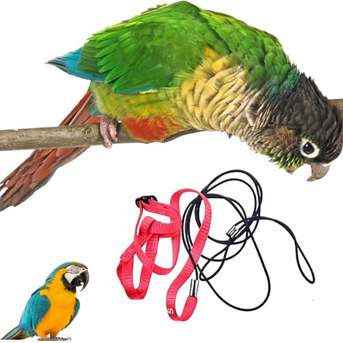 Vogel Leine, Anti-Biss-Flugtraining Seil Haustier Traktion im Freien Fit Wellensittich Nymphensittich Mynah Kleiner Vogel (S)