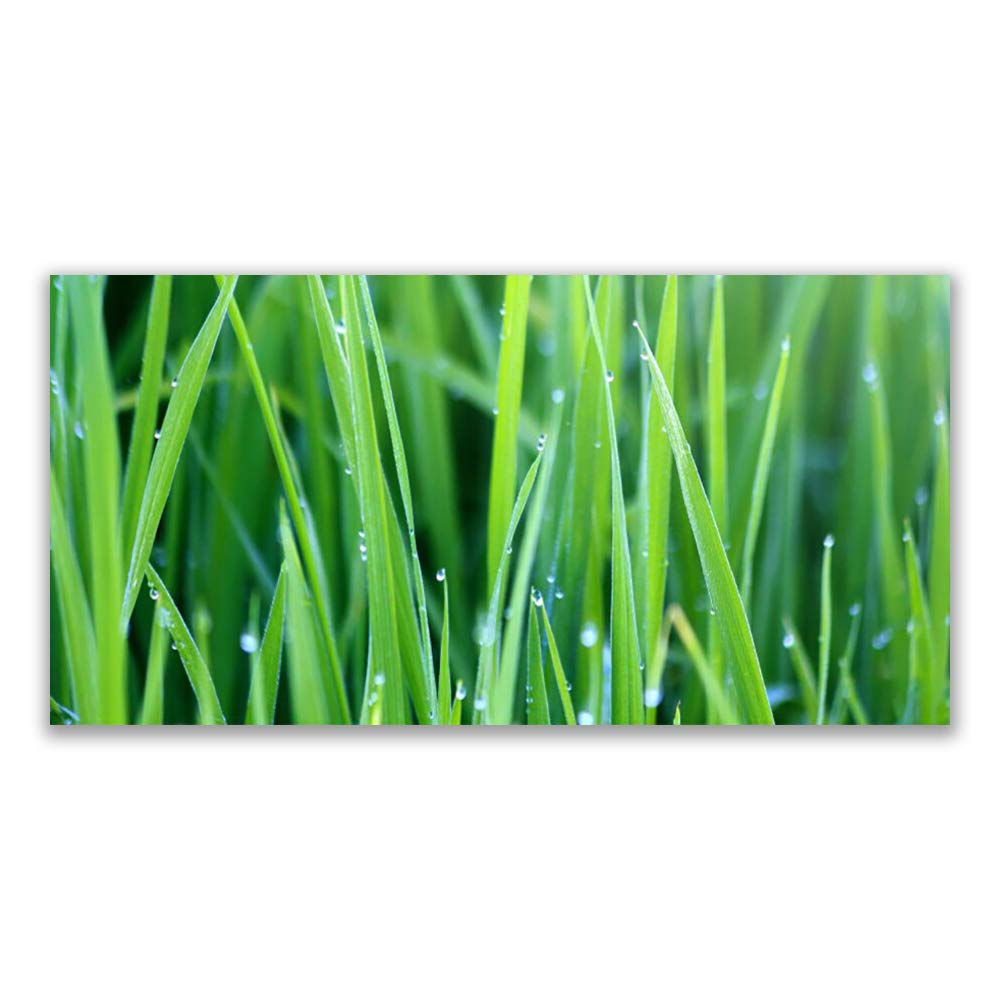 Tableau Nature des Mauvaises Herbes Tulup en Verre Acrylique 120x60 cm
