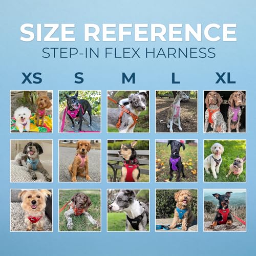 Image of Best Pet Supplies Voyager Adjustable Step-in Flex Breathable Mesh Dog Harness for Small Medium Large Dogs Leash Set (Baby Blue), XS