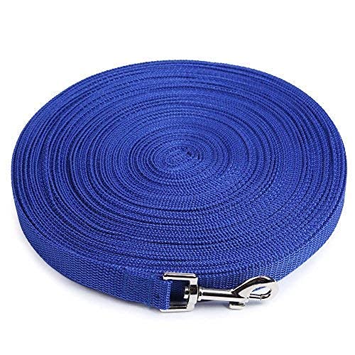 RvPaws Cotton Nylon Dog Training Lead Long Rope Webbing Recall Obedience Line Leash For Pet (Blue, 3 M/10 Feet). (B09J29K4LK) Amazon Price History, Amazon Price Tracker