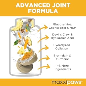 maxxiflex-Hip-Joint-Supplement-for-Adult-Dogs-120-Tablets - Cucciolini Doodles   maxxiflex-Hip-Joint-Supplement-for-Adult-Dogs-120-Tablets