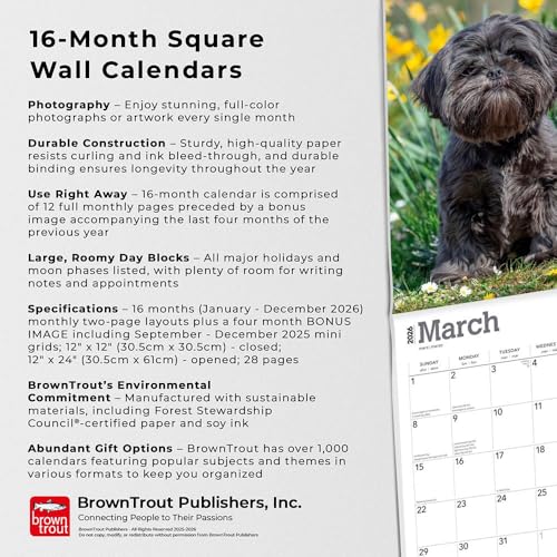 Shih Tzu | 2026 12 x 24 Inch (Hanging) Monthly Square Wall Calendar | BrownTrout | Animals Small Dog Breeds by BrownTrout - Image 3