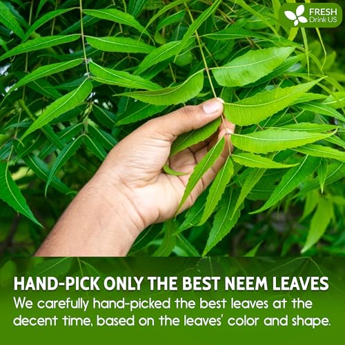 Image of FreshDrinkUS, Premium 20oz Neem Leaf Powder, 100% Natural and Pure from Neem Leaves Dried, for Hair and Skin, No Additives, No Gluten, No Sugar, Vegan
