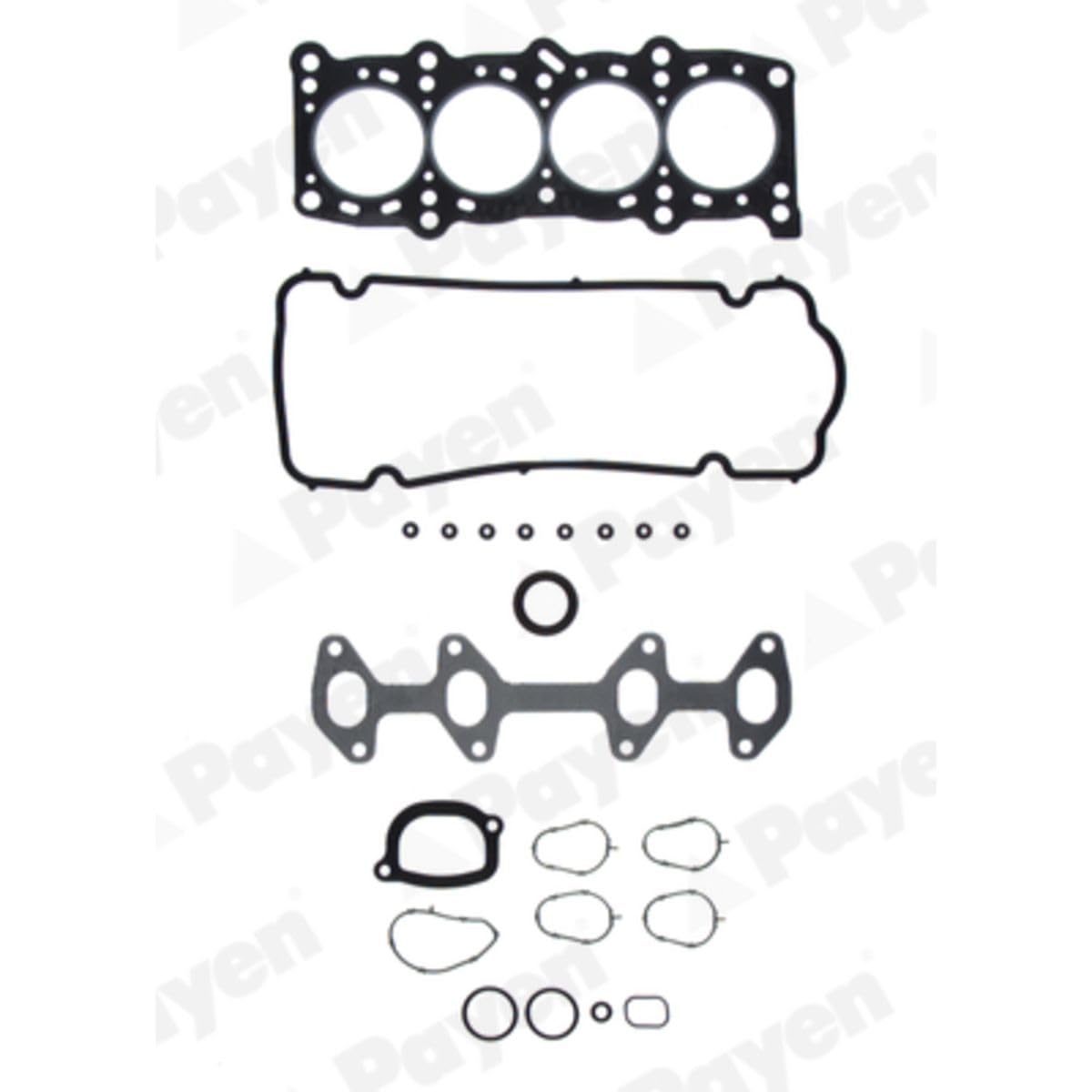 Payen GD671 Kit completo guarnizioni, Motore