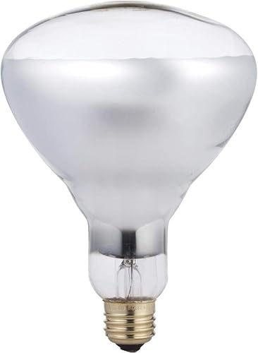 Miniatura 3 de Phillips 416743 - Bombilla de luz de inundación transparente BR40 de 250 W, paquete de 4 unidades