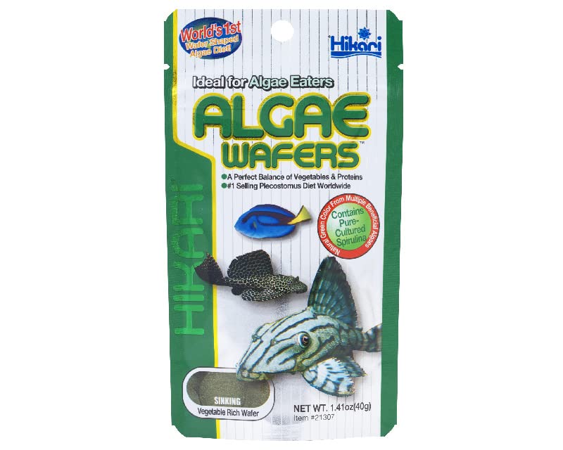 Innovatives Hikari Algae Wafers Sinking Vegetable Rich dics 40g (B0BSB4D13M) Amazon Price History, Amazon Price Tracker