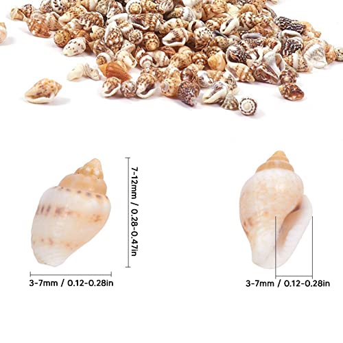 1 Can Shell Bead Tiny Sea Shells Ocean Beach Natural Spiral Seashells Craft Charms for DIY Fish Tank Landscaping Drift Bottle Decoration - Image 2