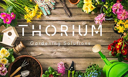 THORIUM 2 pz impermeabile leggero ginocchiere in