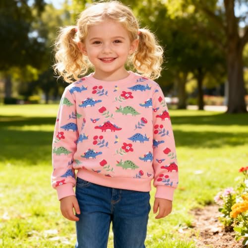 Image of Hongshilian Unisex Kids Cute Cartoon Cotton Sweater Shirt