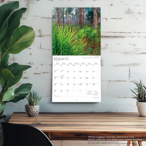 National Parks | 2026 12 x 24 Inch (Hanging) Monthly Square Wall Calendar | Plastic-Free | BrownTrout | Scenic Yosemite Yellowstone Nature - image 5