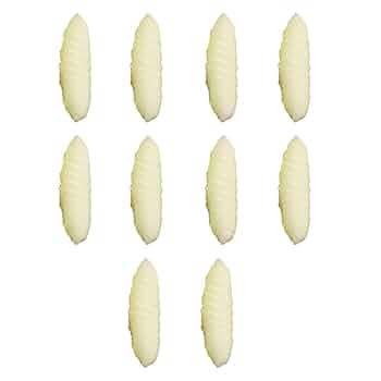 ソフトプラスチックワームセット Amazon.co.jp: 10 個釣具 ウジ虫型 イモムシワーム ソフトワーム