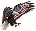 American Eagle American Flag 5" Decal in the United States