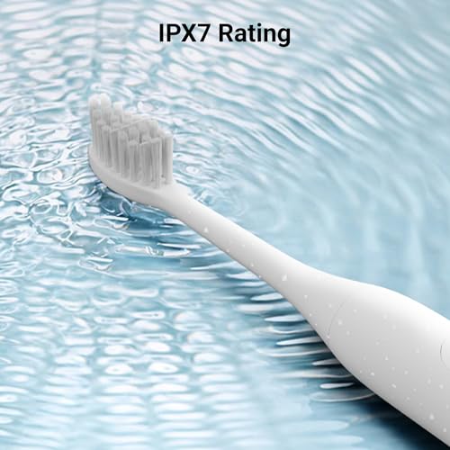Image of Zebronics Dent L20 Rechargeable Electric Toothbrush, Sonic Technology 30000 VPM, 3 Cleaning Modes, IPX7 Waterproof, Upto 40 Days Battery Backup, Type-C, Travel Case, 2 Extra Brush Heads (White)