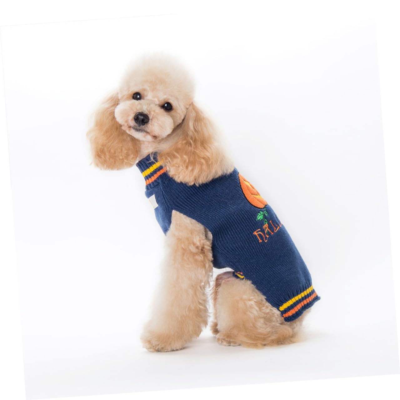 POPETPOP 3 Pièces Pull à Tricoter Costume De Chien Décoration d'animal De Compagnie d'halloween Costume Chaud pour Chien Pulls pour Chiens De Petite Taille Déguisements d'halloween