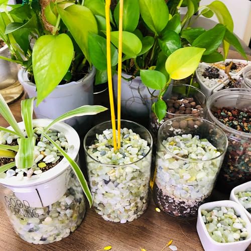 Image of CJGQ 7lb Natural Gravel for Aquarium Succulents Bonsai Terrarium Fish Tank,1 /5 inch Decorative Stone for Plants Indoor