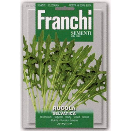 ルッコラページ Amazon.co.jp: 【FRANCHI社種子】 【115/5】 ワイルドルッコラ : DIY