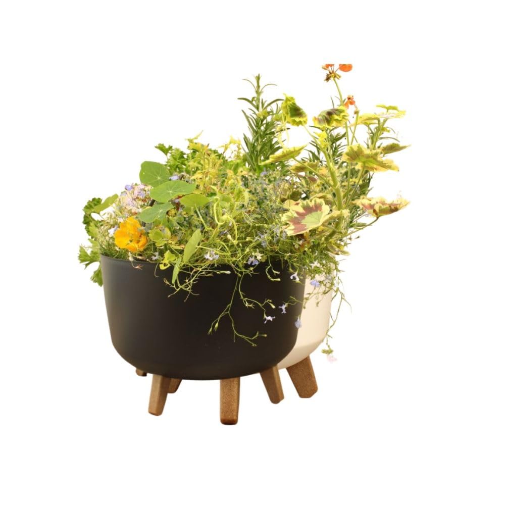 Gardening Naturally Indoor Plant Pot Zinnia Stylish and Durable Planter for Houseplants (Low Pot 24cm - Anthracite)