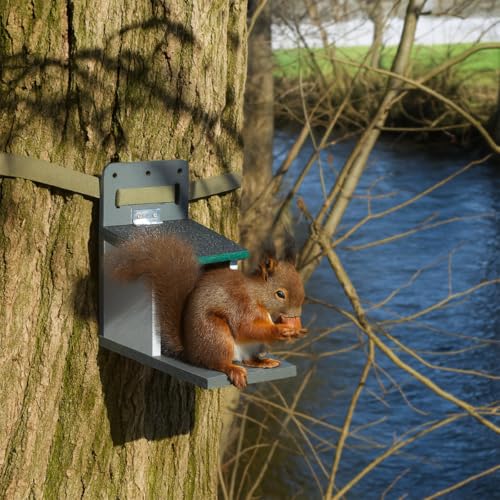 Holznager | Eichhörnchen Futterhaus wetterfest, sehr stabil und sicher | Handmade aus eigener Produktion im Schwarzwald | Belüftungssystem für trockenes Eichhörnchenfutter, Eichhörnchen Haus