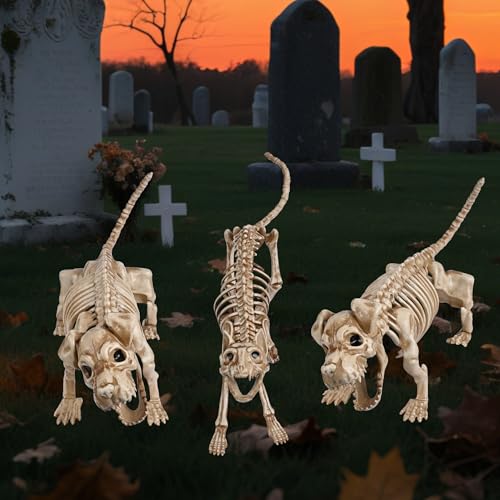 AW 2 Pcs Poseable Dachshund Dog and 1 Pcs Cat Skeleton Pets Animals Halloween Life Size Bone Decoration Movable Joints Yard Outdoor Indoor Cemetery Props 2026