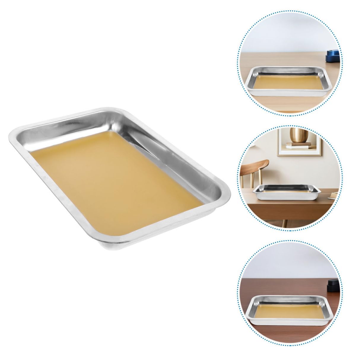 Vassoio da Dissezione A4 in Acciaio Inox Giallo, 2 Pezzi | Diagramma Anatomico Chiaro, Bordi Lisci, Pulizia Semplice, Uso Didattico per Biologia e Studio