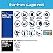 Filtrete 20x30x1 AC Furnace Air Filter, MERV 13, MPR 2200, Elite Allergen, Bacteria & Virus Filter, 3-Month Pleated 1-Inch Electrostatic Air Cleaning Filter, 6-Pack (Actual Size 19.81x29.81x0.78 in)