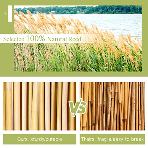 Natural Reed Screen Curtain, Eco-Friendly 16.4Ftx4Ft Fencing Decorative Roll Up Window Blind Reed Fencing For Garden Indoor Balcony Window #TOP3