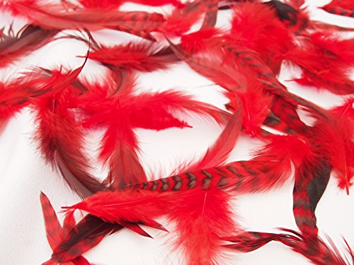 Amazon | スペイコック・グリズリー [027-Fe-G-03］レッド/フライ