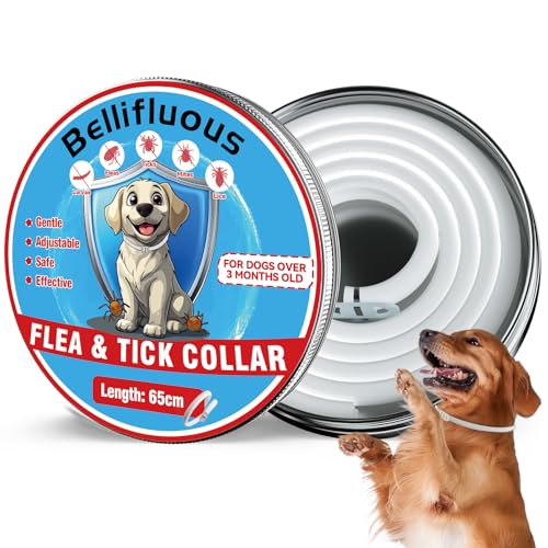 Bellifluous Collare Antiparassitario per Cani, Collare Cane, 65cm Regolabile Impermeabile Collares per Cani, 8 Mesi di Protezione Delicato Collari Antiparassitari per Cane per Tutti i Canes (1 Pacco)