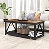 ChooChoo Black Coffee Table, Rustic Vintage Table with Shelf for Living Room, 40 Inch