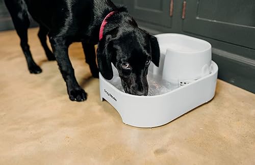 Miniatura 11 de Dog Mate Fuente grande para mascotas para perros y gatos con filtro incluido, capacidad de 200 onzas líquidas