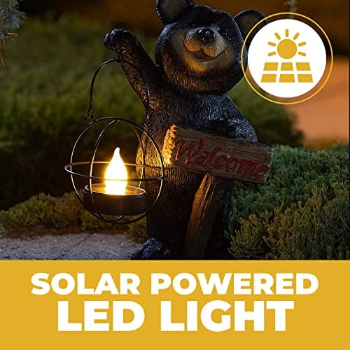 lighted outdoor bear