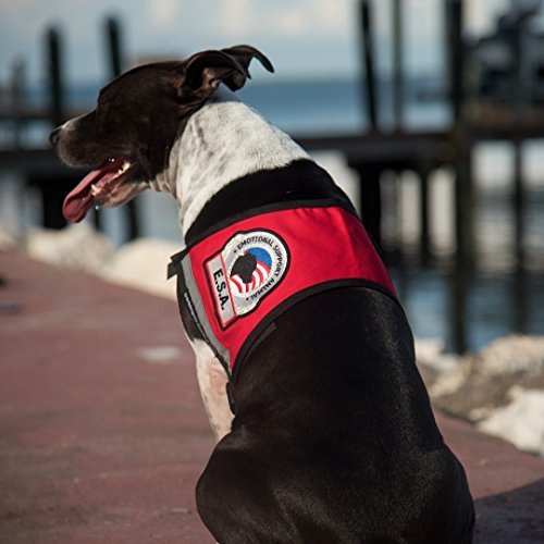 Workingservicedog.com Premium Esa Emotional Support Dog Vest - Reflective - Zipper Pocket - Id Holder - Includes 5 Federal Law Esa Handout Cards (29-35" Girth, Red) #TOP4