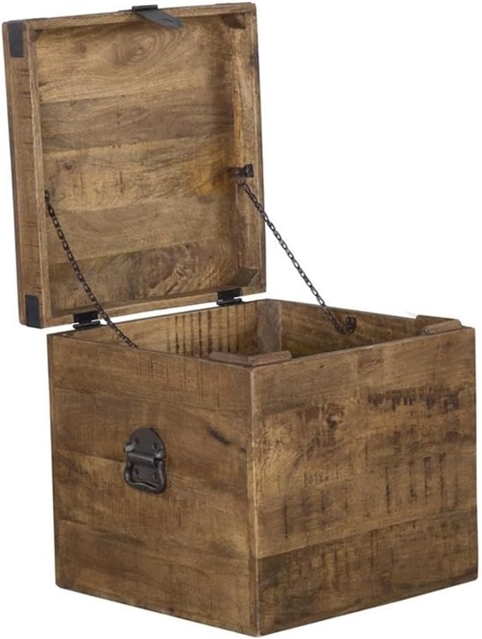 Kosas Home Livingston 18" Square Solid Mango Wood & Iron Trunk in Natural Brown