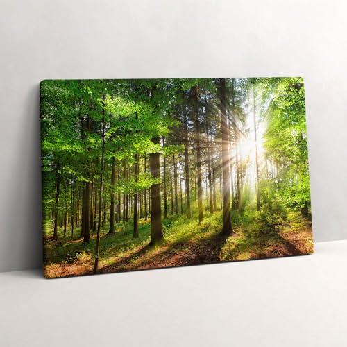Forêt et lever de soleil tableau d'art sur toile Wallfluent finition premium 60x40