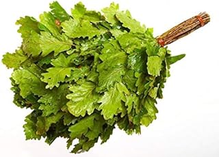 Broom for Bath Oak with Sweet Clover Russian Bath Broom Birch Broom Bath ladle Bath Whisk Russian Bath Sauna Bath Oak Tannin Whisk Broom Birch Broom hat for Russian banya Sauna Oak venik