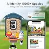 birdsnap® PAV-Bird Feeder with Camera 2K HD, 64GB Card, AI Identify Bird Species Smart Bird House with Camera Solar Powered, Record Video Live View, Auto Capture, Ideal Gift for Birds Lover #1